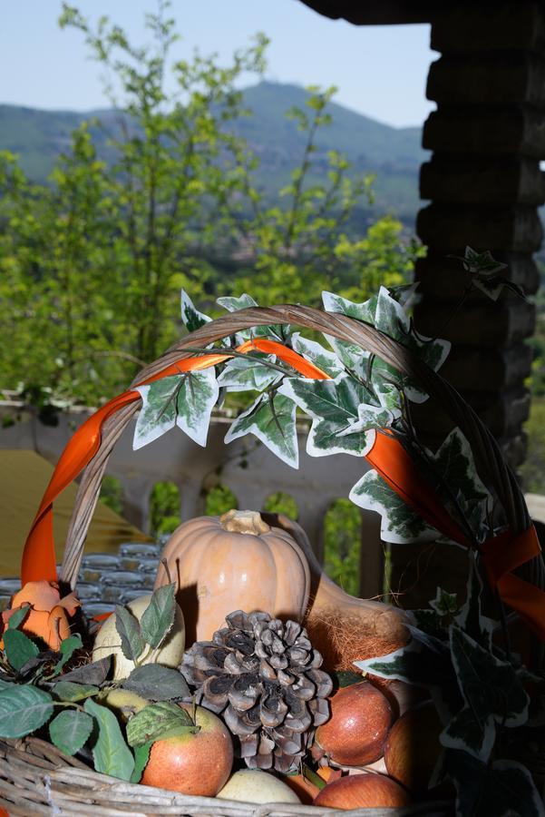Borgo Della Molara Hotel Grottaferrata Zewnętrze zdjęcie