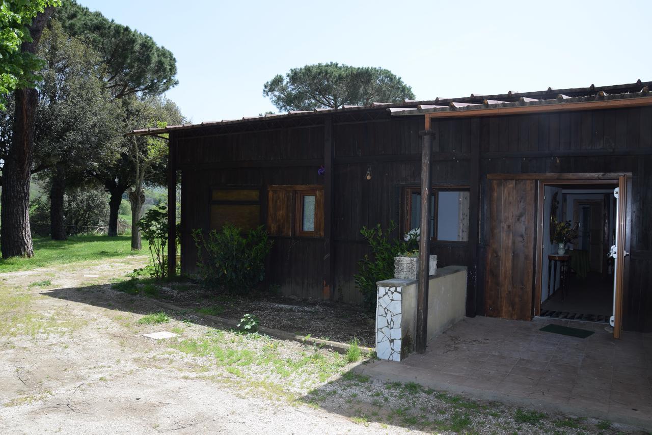 Borgo Della Molara Hotel Grottaferrata Zewnętrze zdjęcie